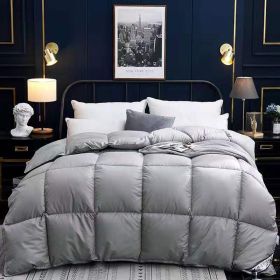 Down Duvet, Winter Duvet, Goose Down Duvet Core, Air Conditioner (Option: Grey-200x230cm-8)